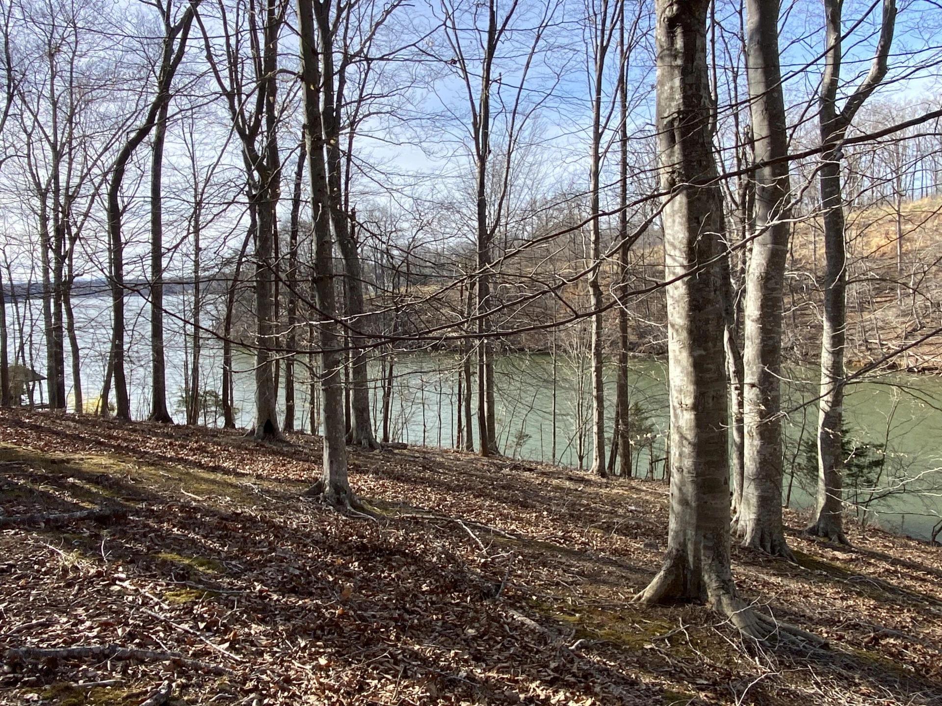 LOT 6 CLEARWATER DR - Photo 4