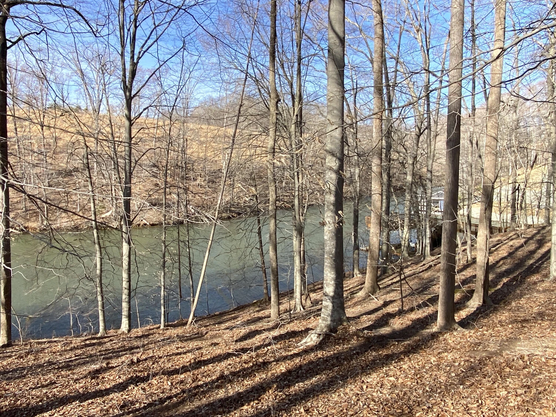 LOT 6 CLEARWATER DR - Photo 5