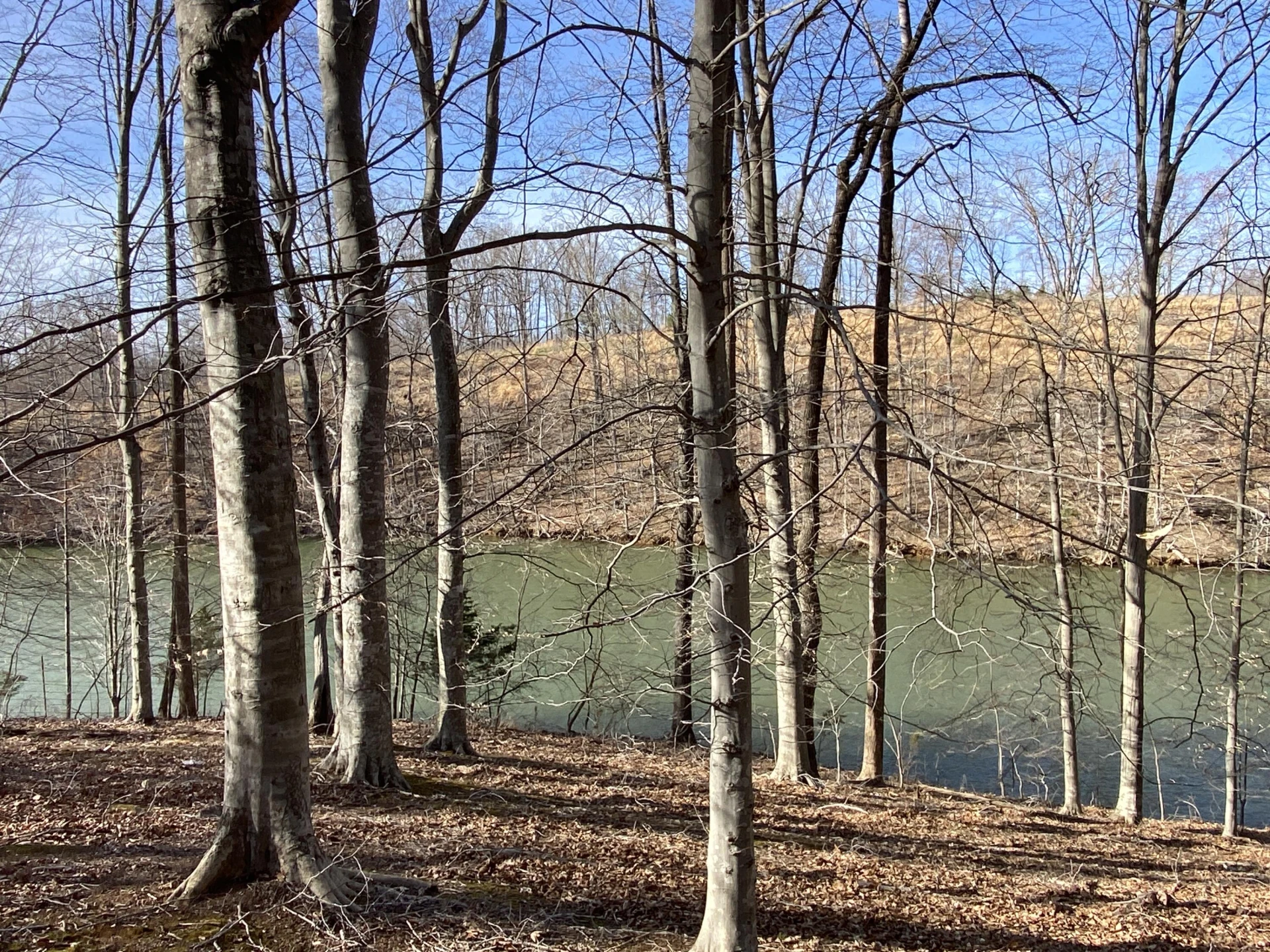 LOT 6 CLEARWATER DR - Photo 6
