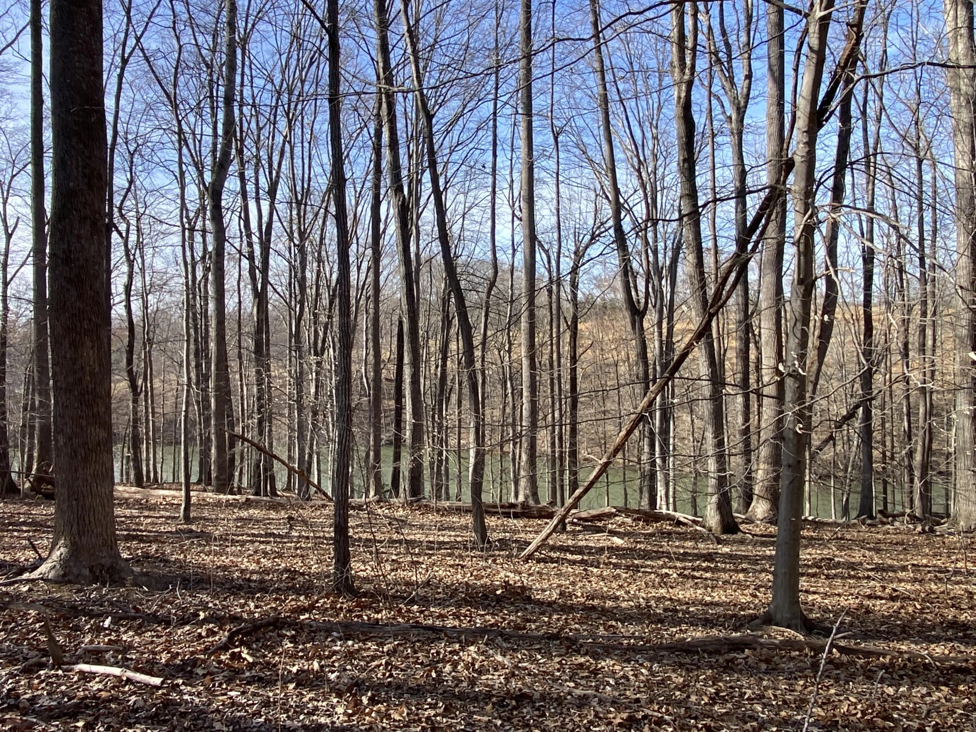 LOT 6 CLEARWATER DR - Photo 8