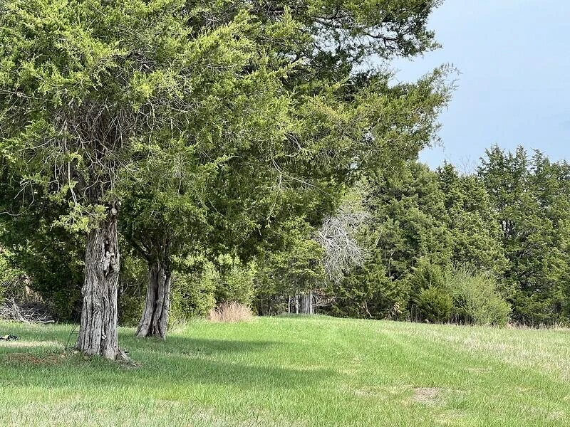 00 OLD FRANKLIN TURNPIKE - Photo 11