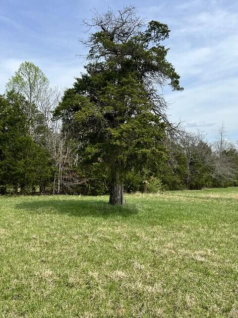 00 OLD FRANKLIN TURNPIKE - Photo 15