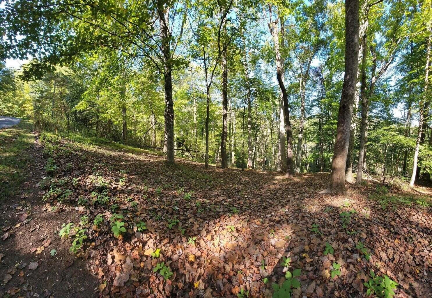 Lot 56 Summer House DR - Photo 4