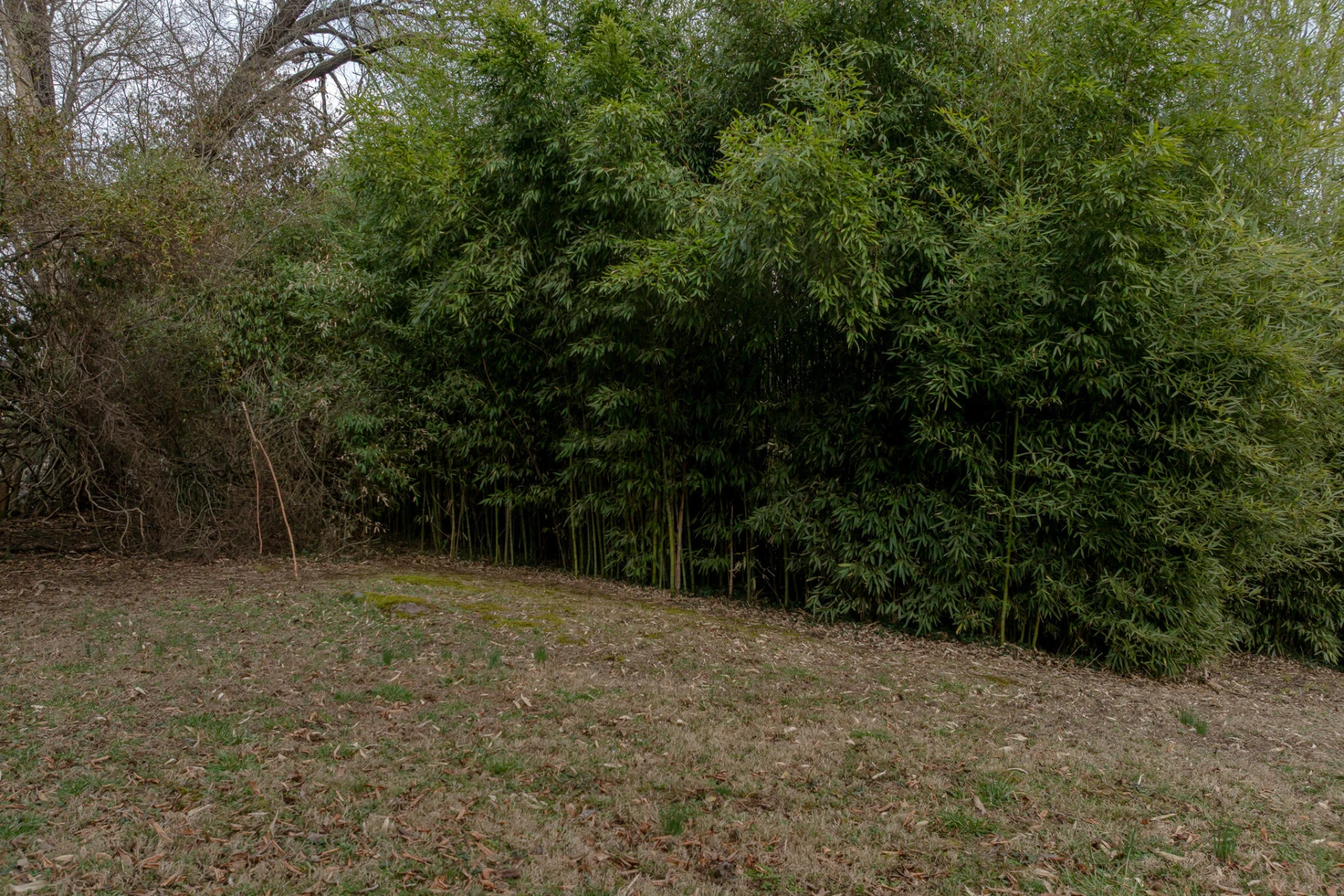 0 Archbold AVE - Photo 7
