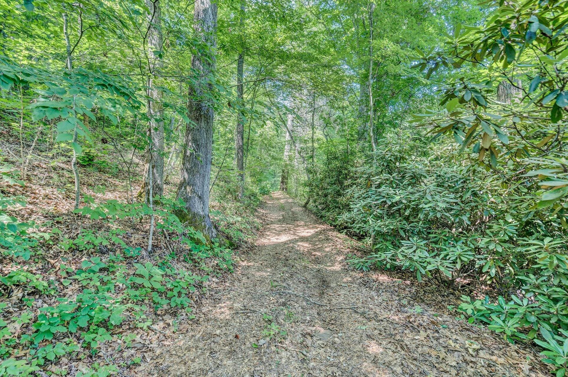 2446 DEER RUN RD - Photo 142