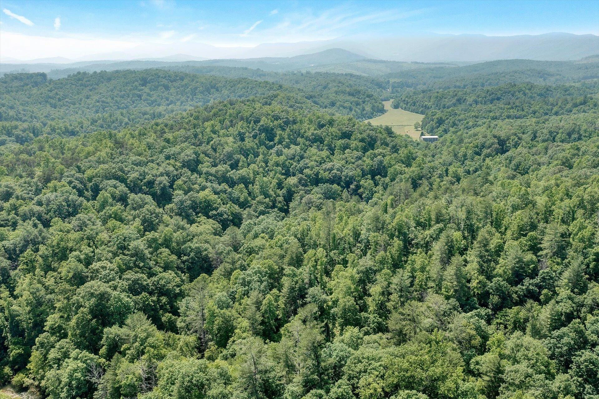 2446 DEER RUN RD - Photo 5