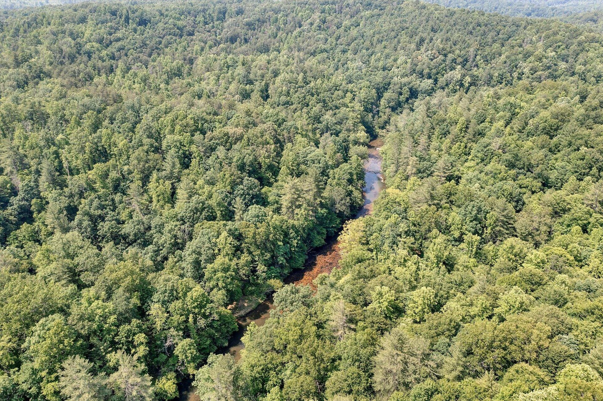 2446 DEER RUN RD - Photo 126