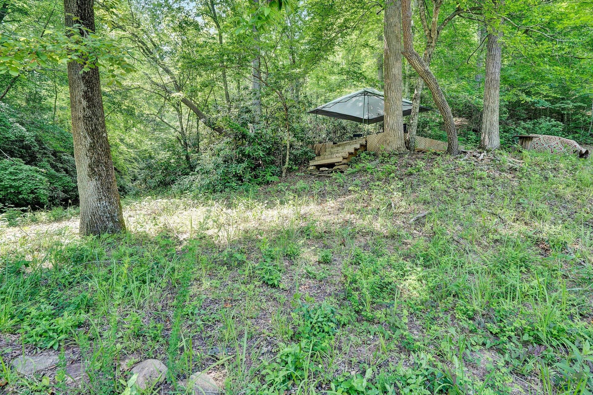 2446 DEER RUN RD - Photo 33