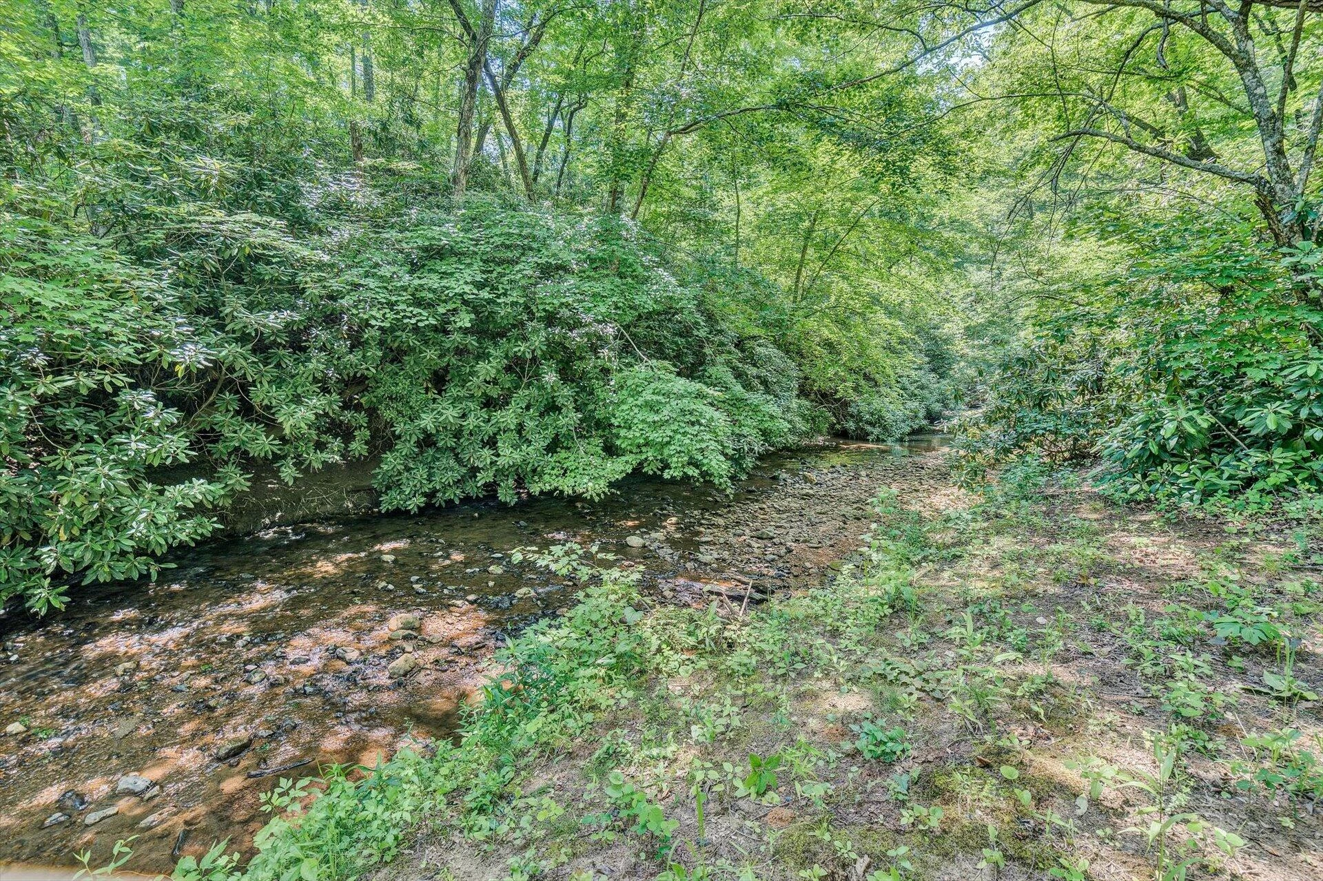 2446 DEER RUN RD - Photo 8