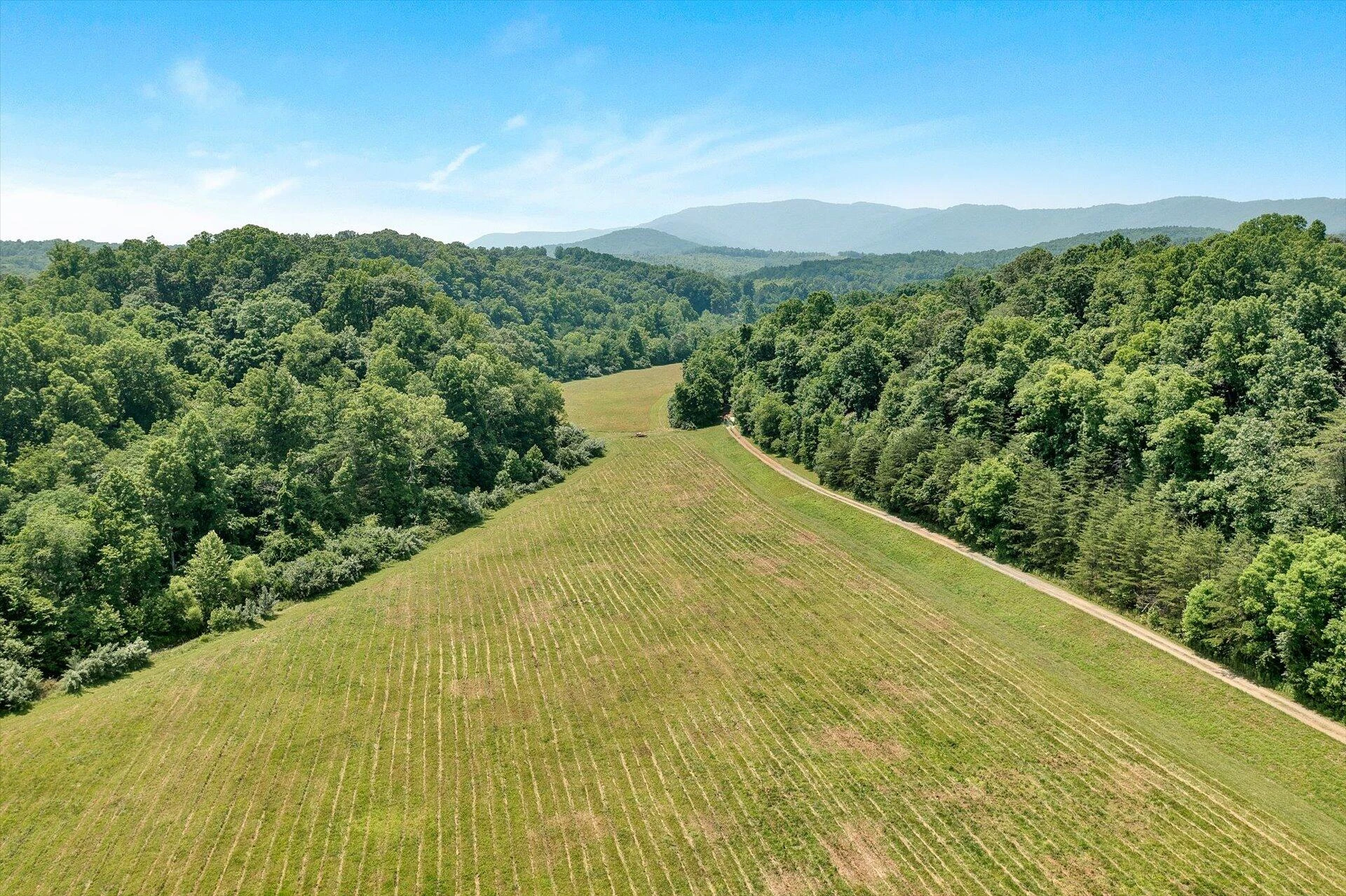 2446 DEER RUN RD - Photo 128