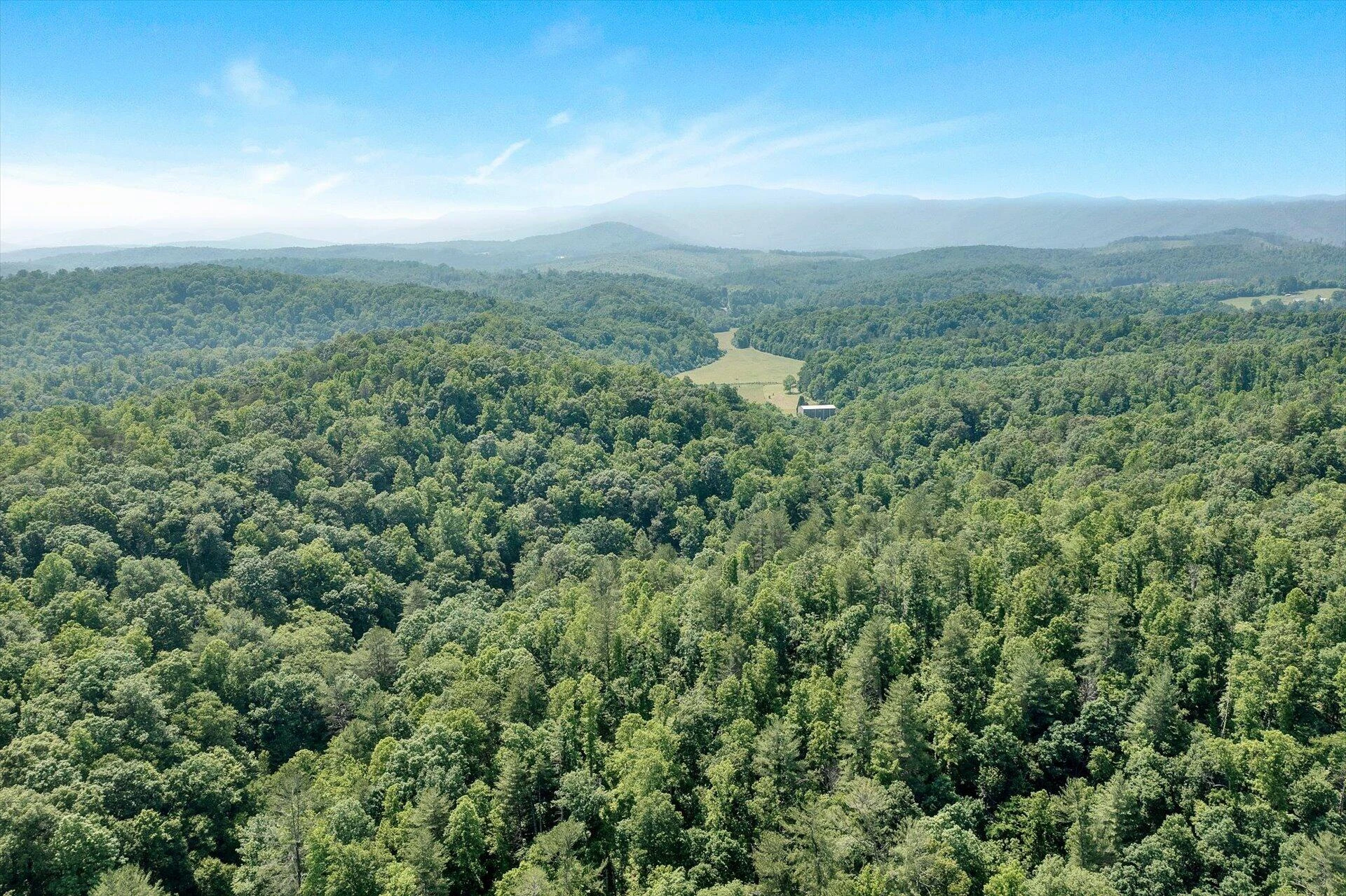 2446 DEER RUN RD - Photo 144