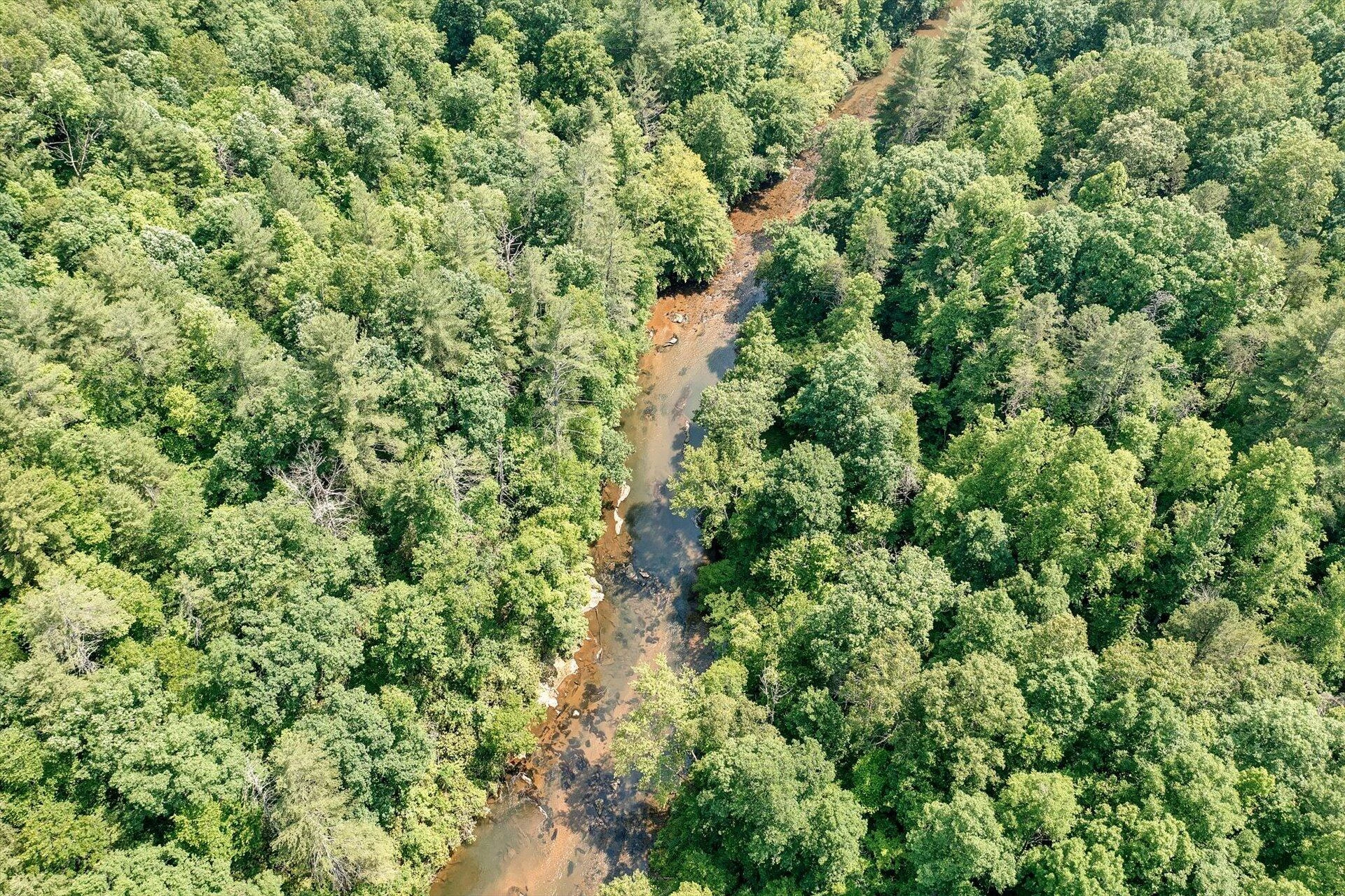 2446 DEER RUN RD - Photo 5