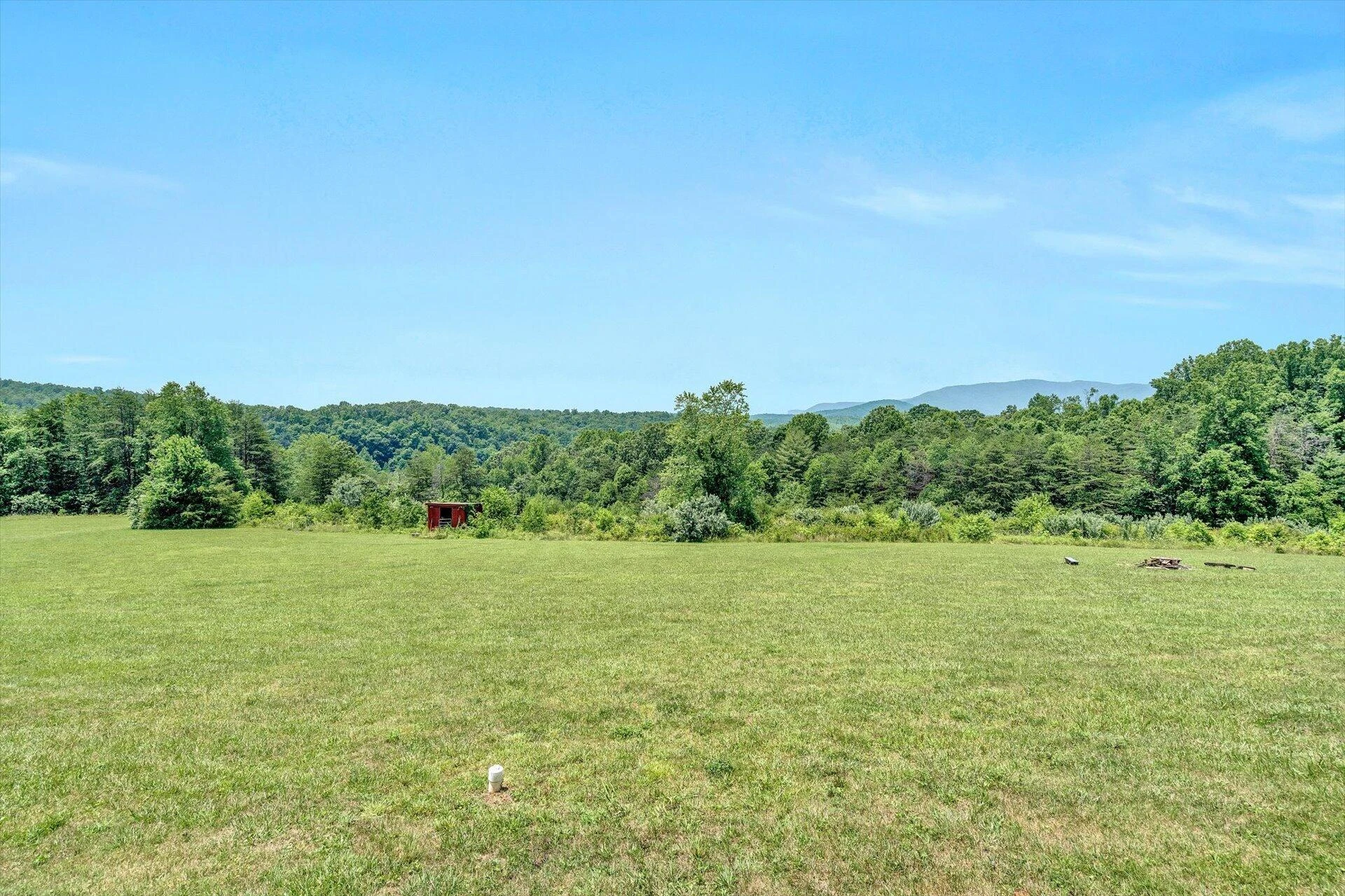 2446 DEER RUN RD - Photo 6