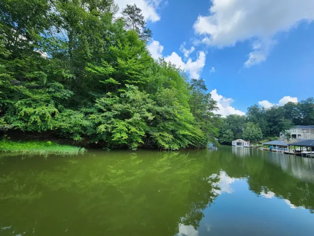 Lot 60 Lakewatch CIR