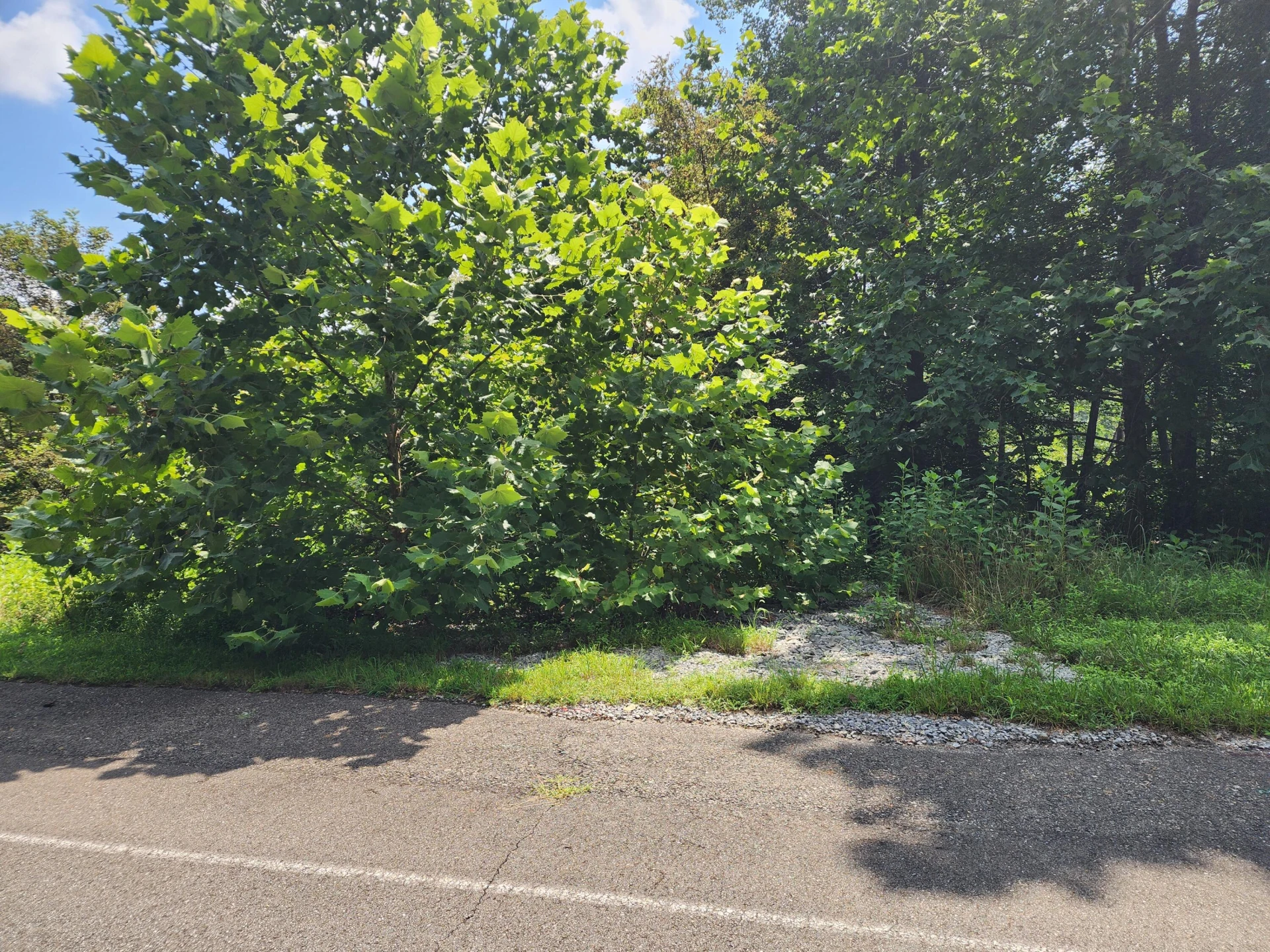 Lot 60 Lakewatch CIR - Photo 2