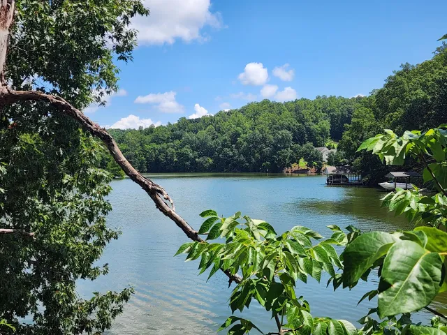 Lot 32 Lake View Point, Glade Hill, VA, 24092