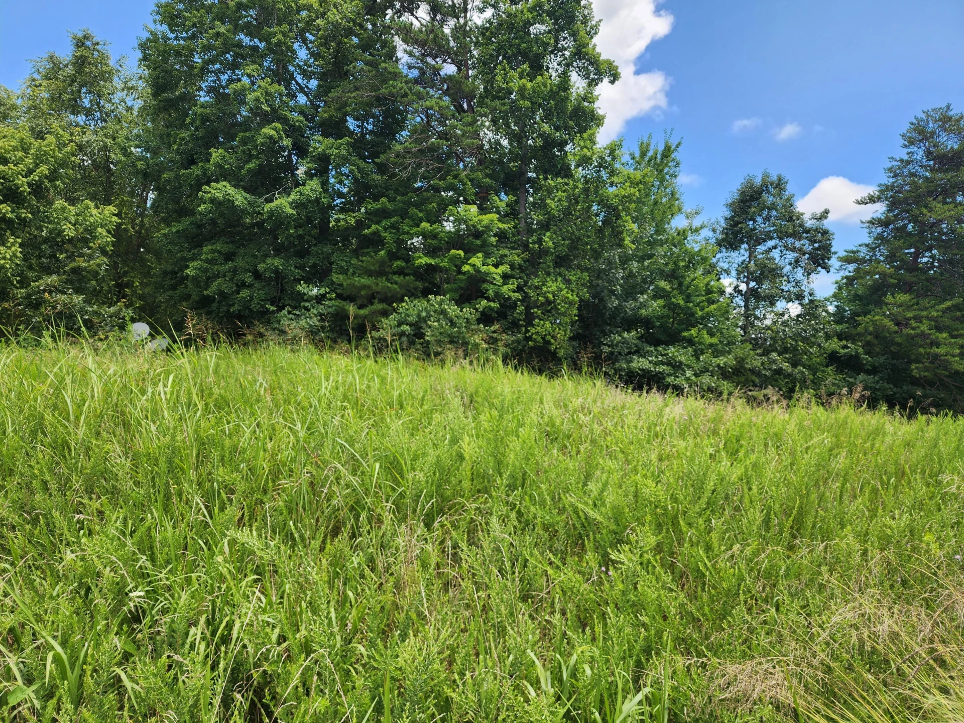 Lot 32 Lake View Point - Photo 4