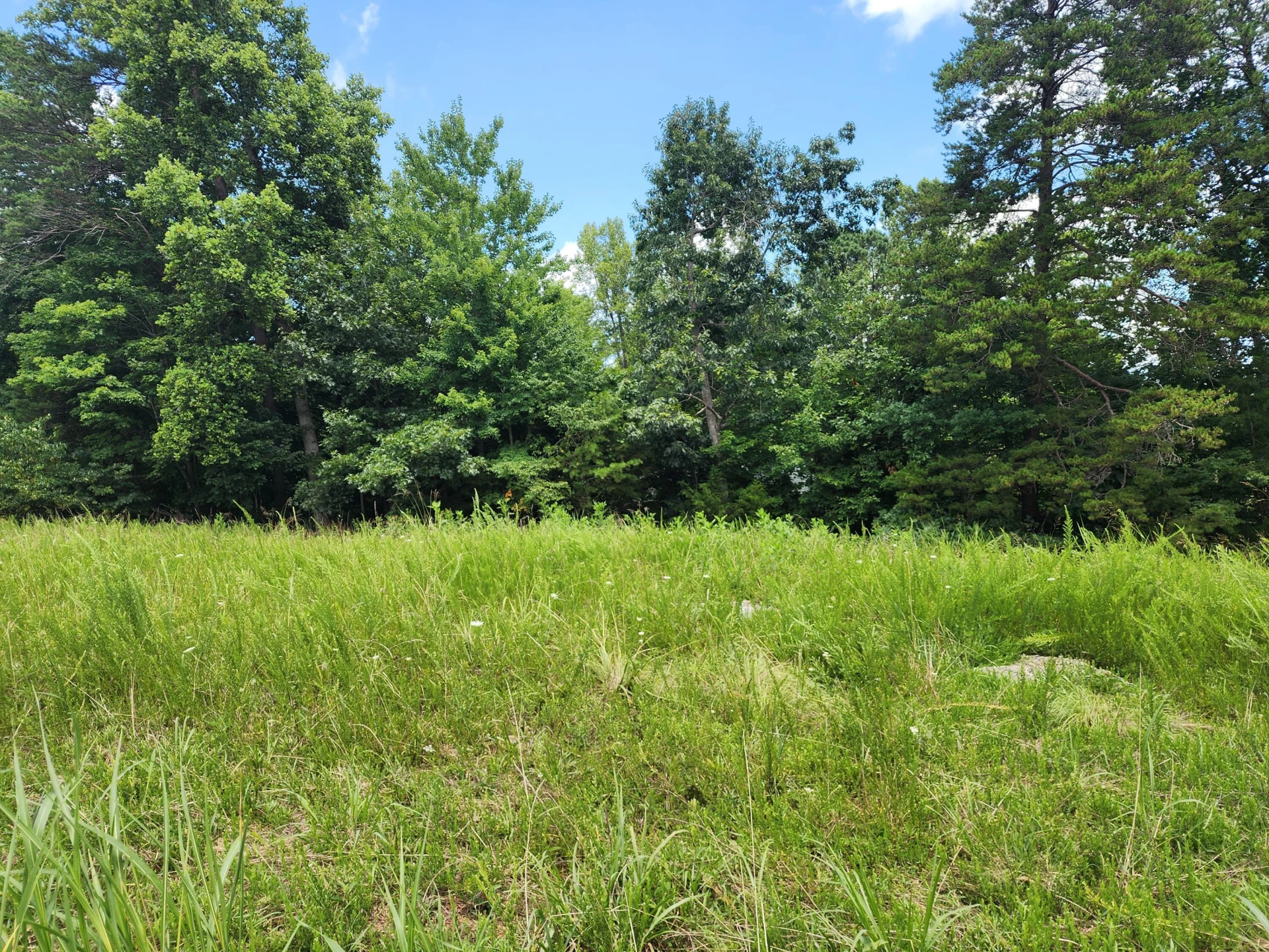 Lot 32 Lake View Point - Photo 5
