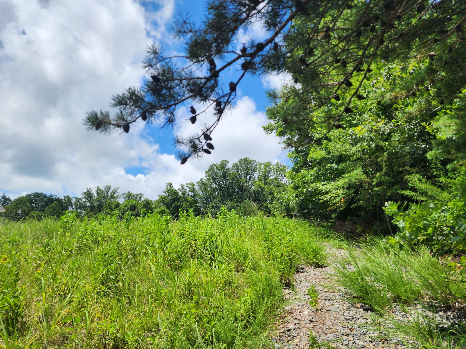 Lot 32 Lake View Point - Photo 6