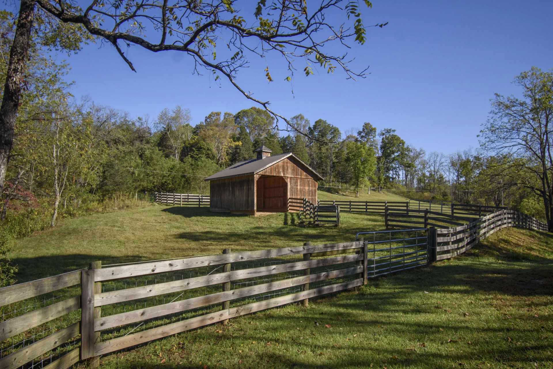 5600 Mount Tabor RD - Photo 97