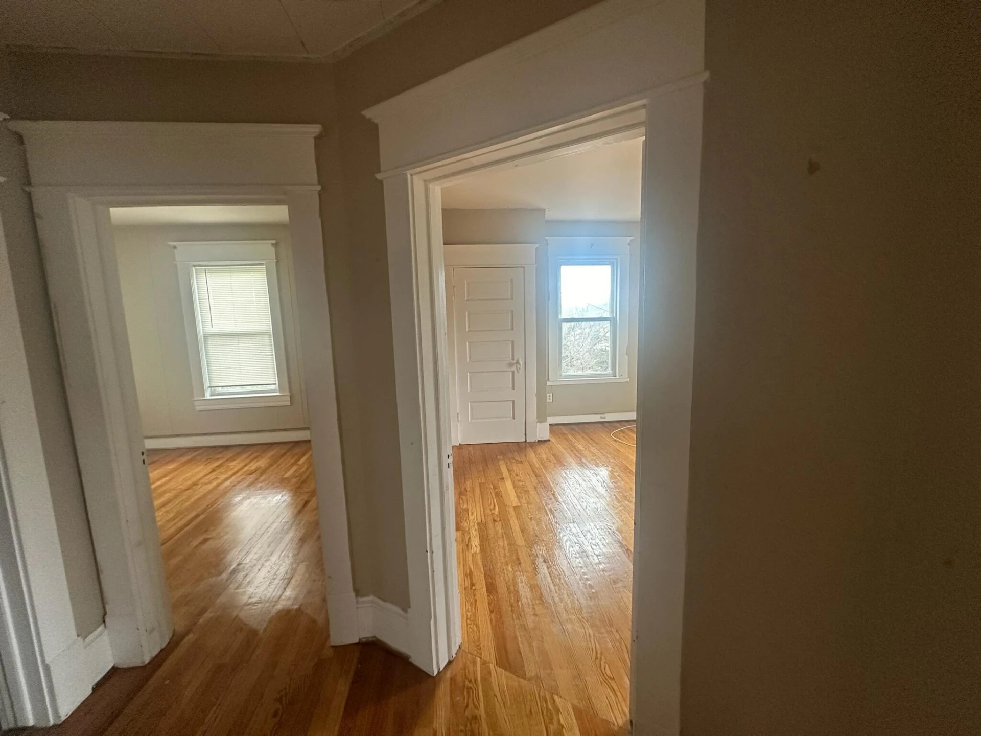 540 Allison AVE - Photo 4