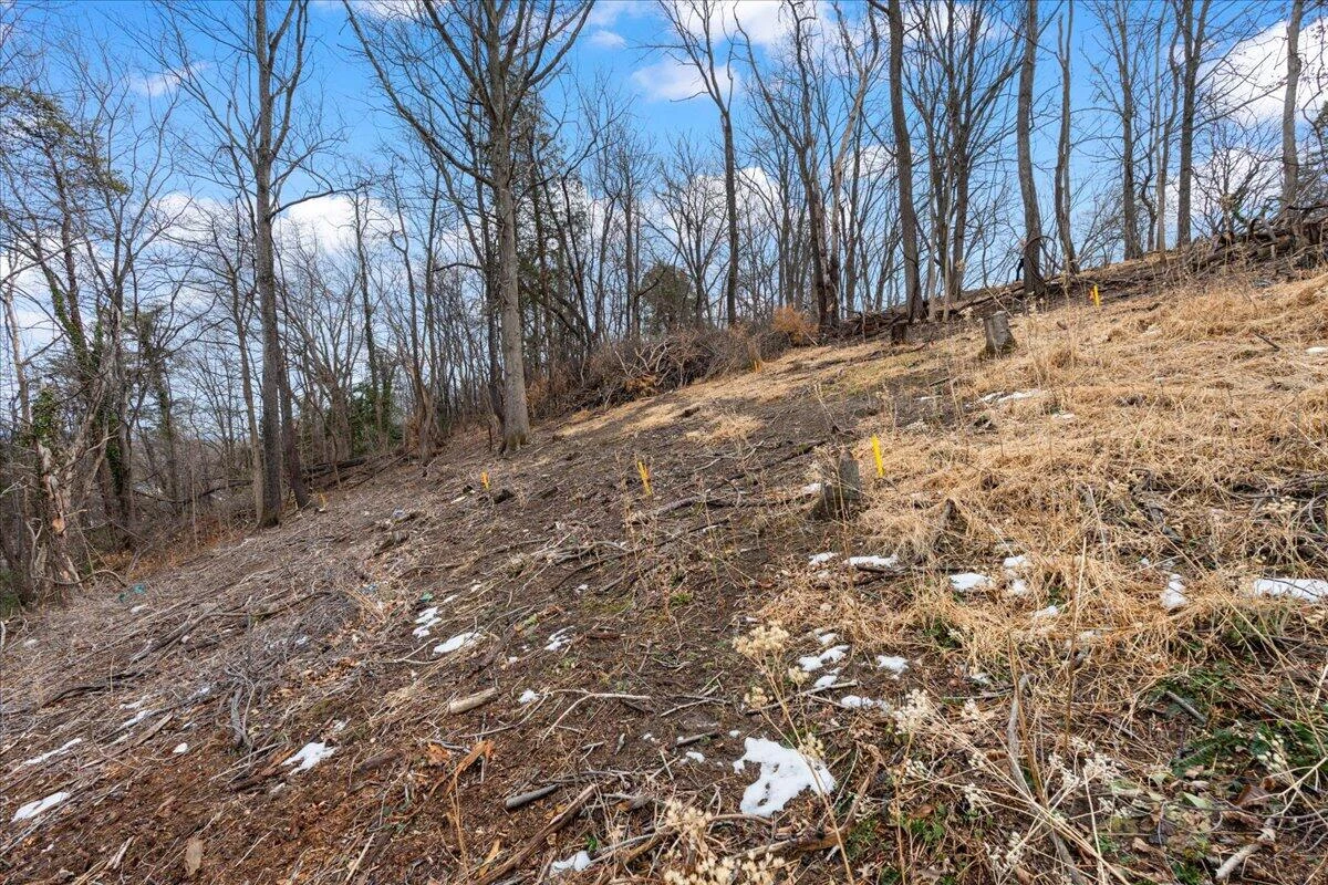 912 Homestead DR - Photo 2
