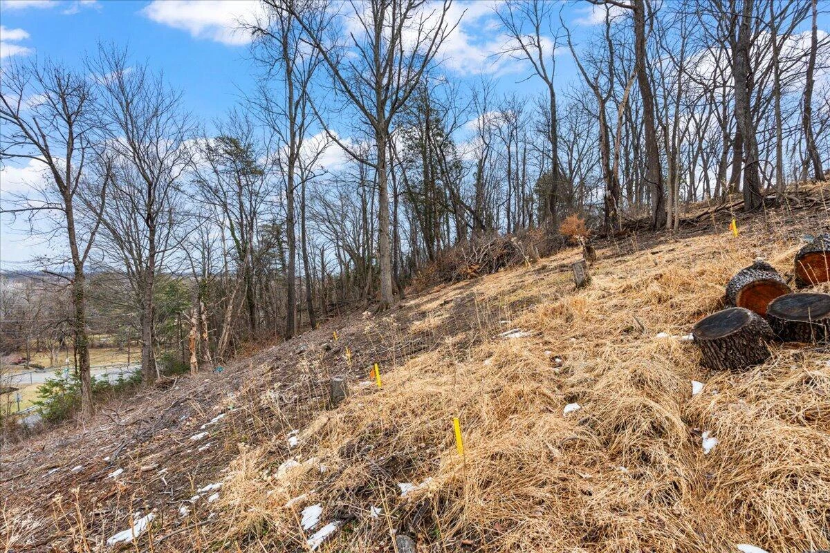 912 Homestead DR - Photo 9