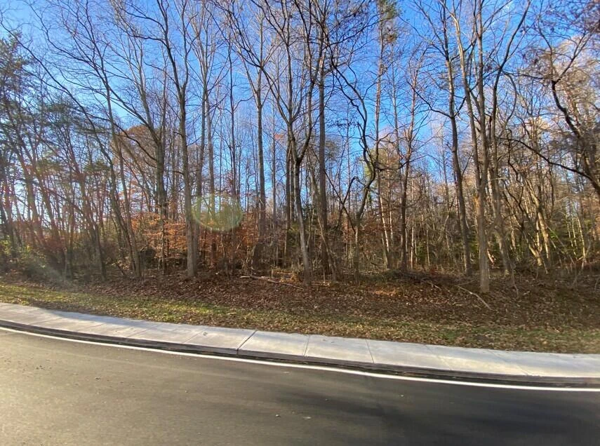 00 DENT ST - Photo 2