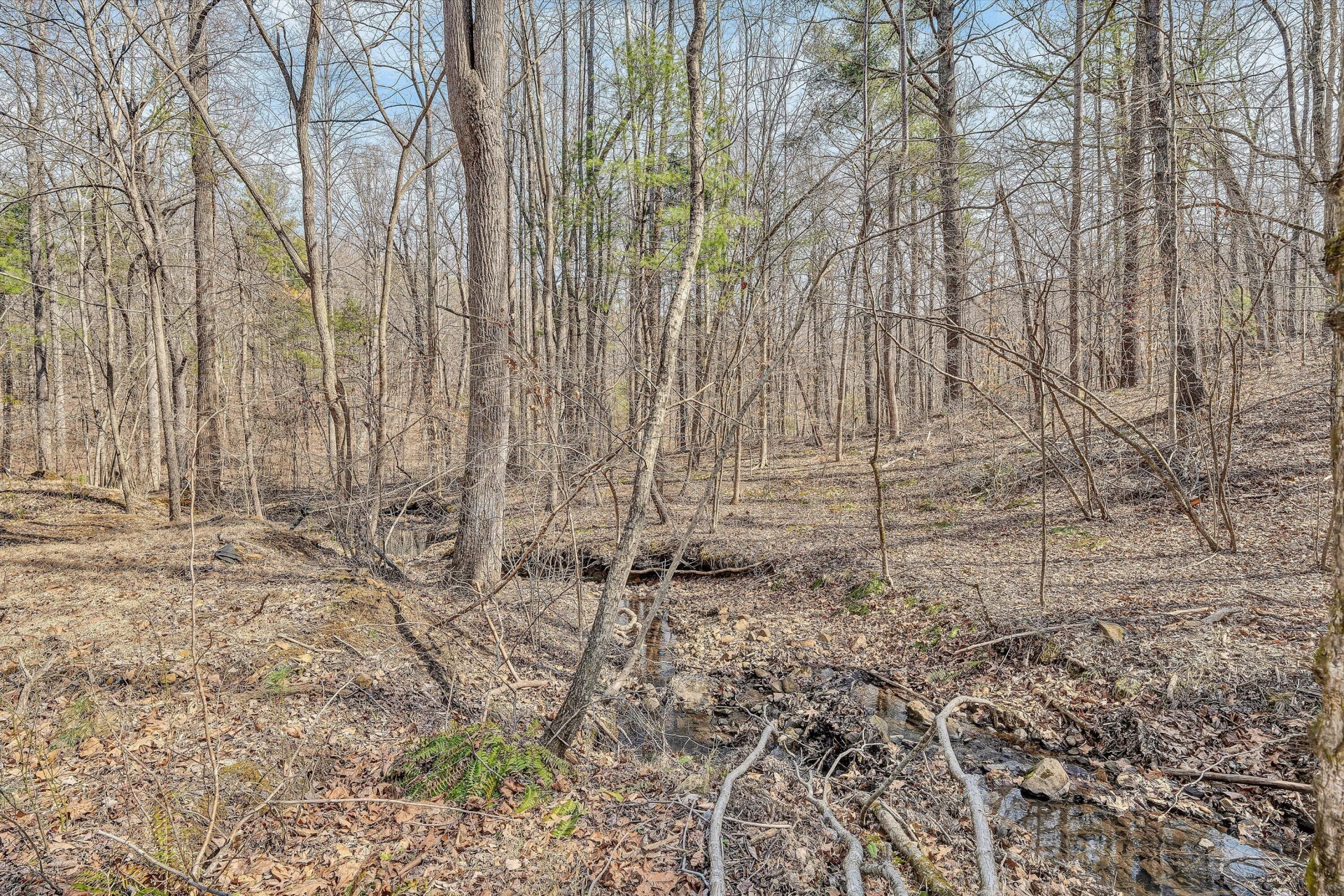 380 Countrywood LN - Photo 61