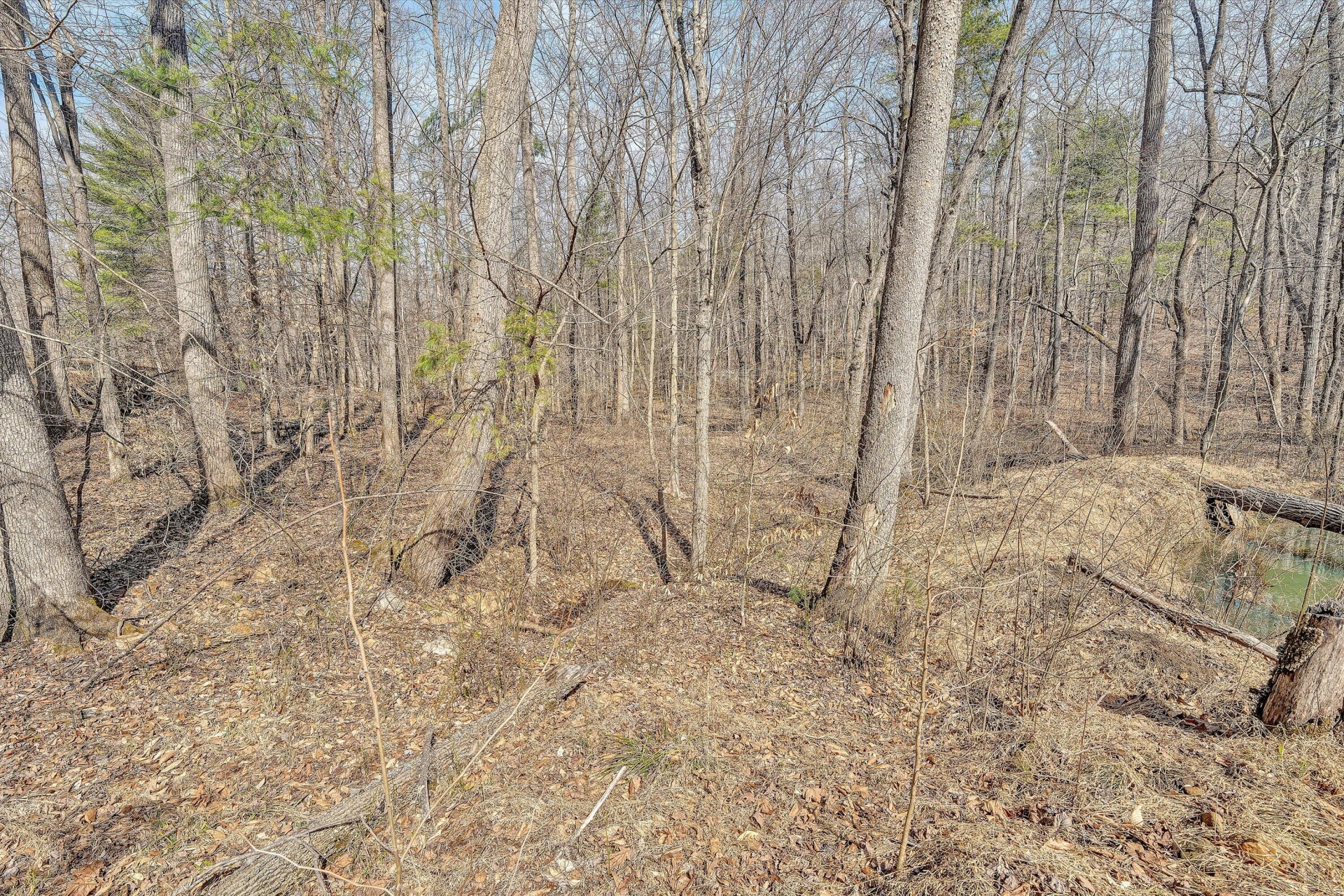 380 Countrywood LN - Photo 63