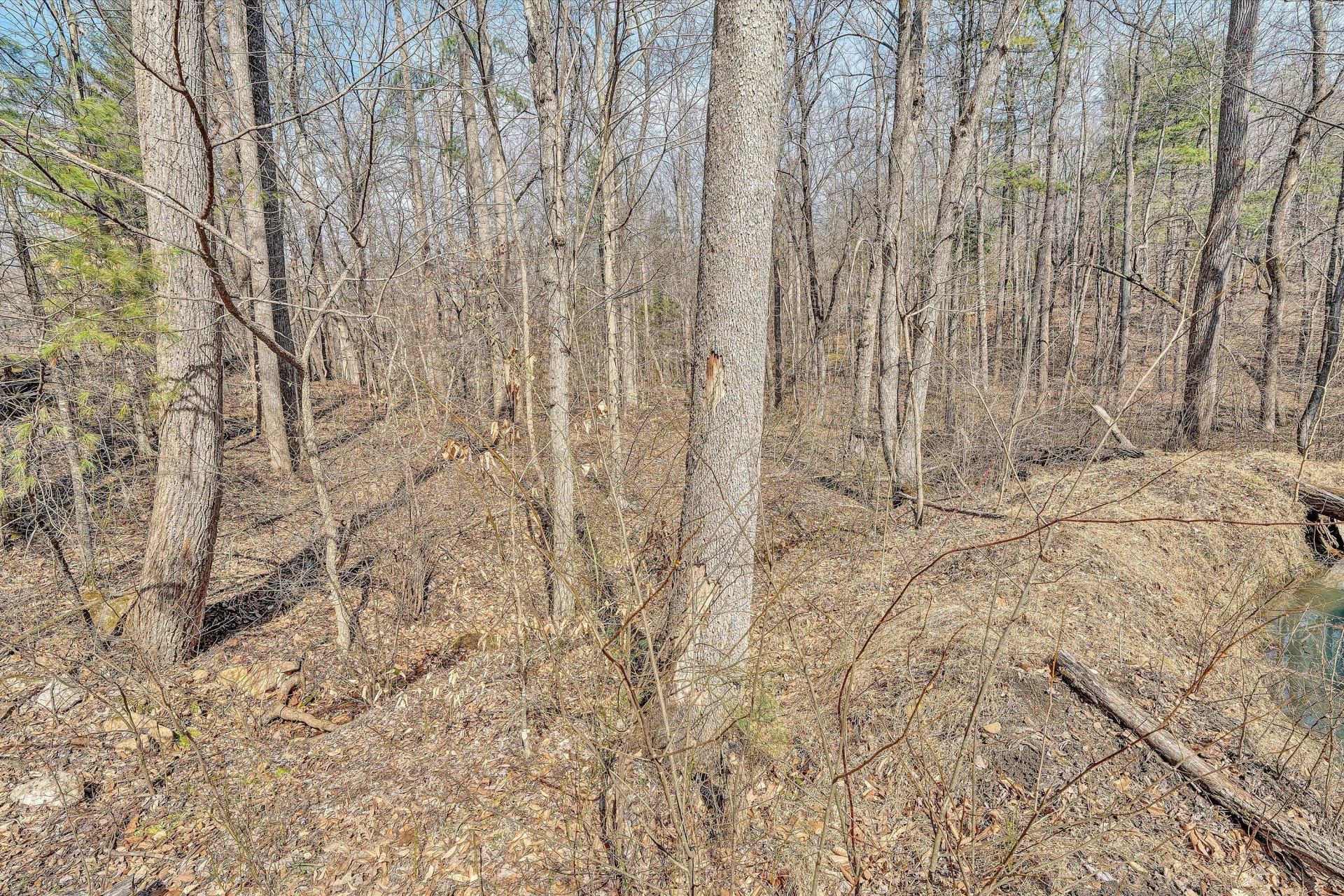 380 Countrywood LN - Photo 64