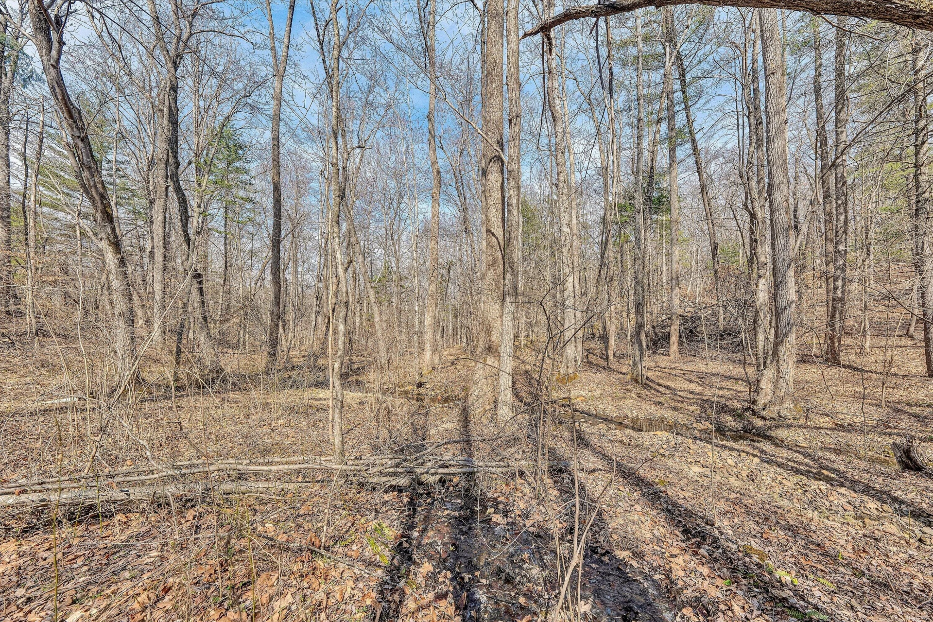 380 Countrywood LN - Photo 65