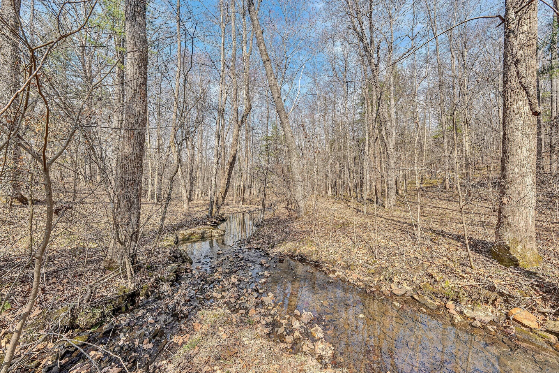 380 Countrywood LN - Photo 66
