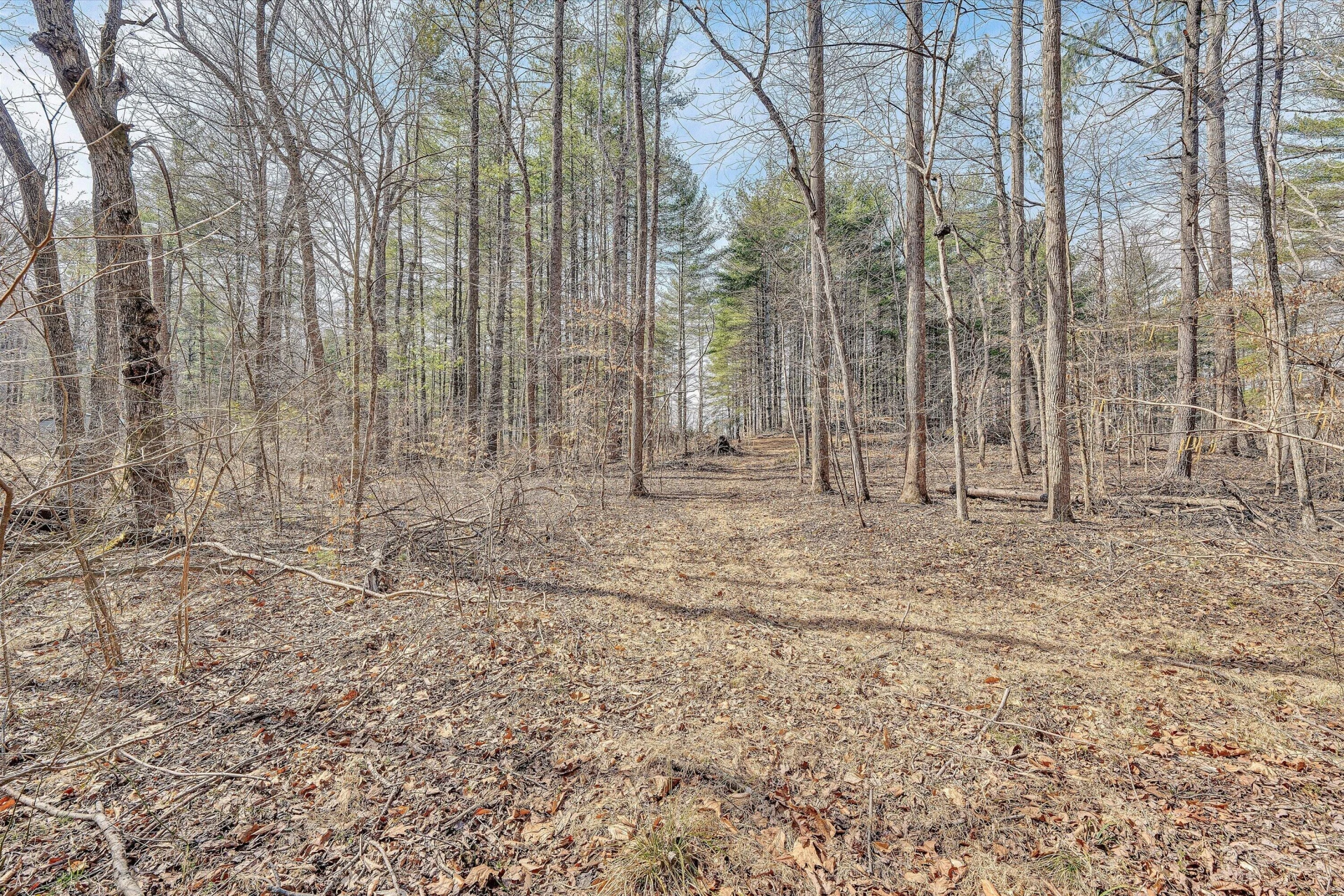 380 Countrywood LN - Photo 68