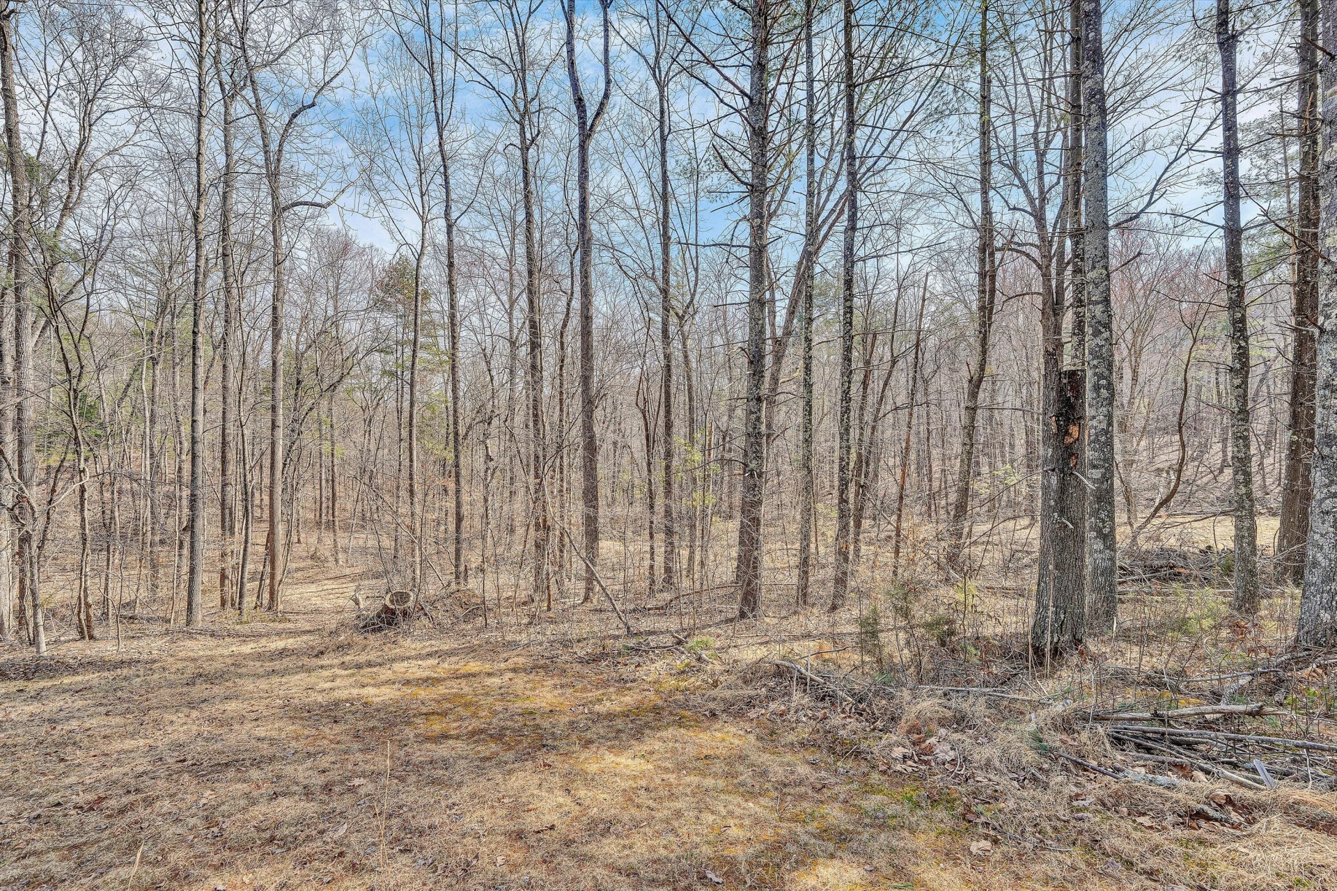 380 Countrywood LN - Photo 69