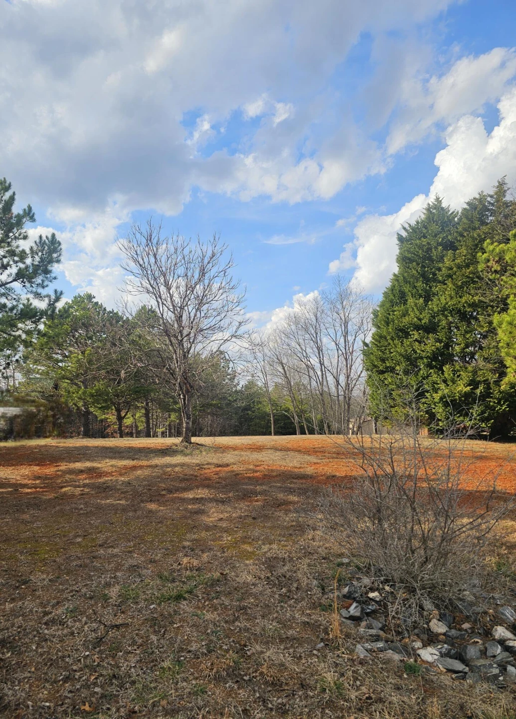 Lot 10/12 Easome RD - Photo 2