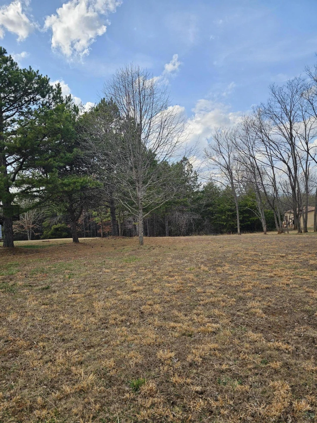 Lot 10/12 Easome RD - Photo 3