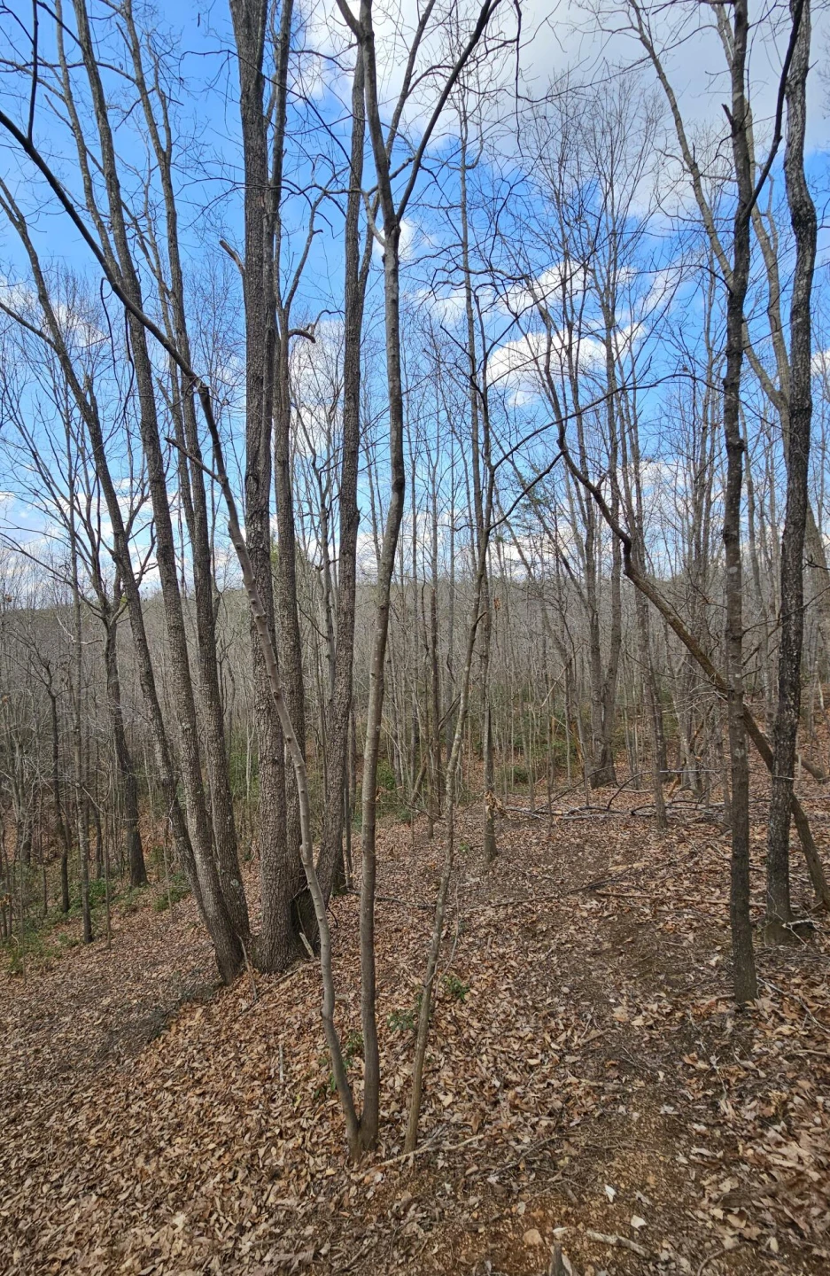 Lot 10/12 Easome RD - Photo 4