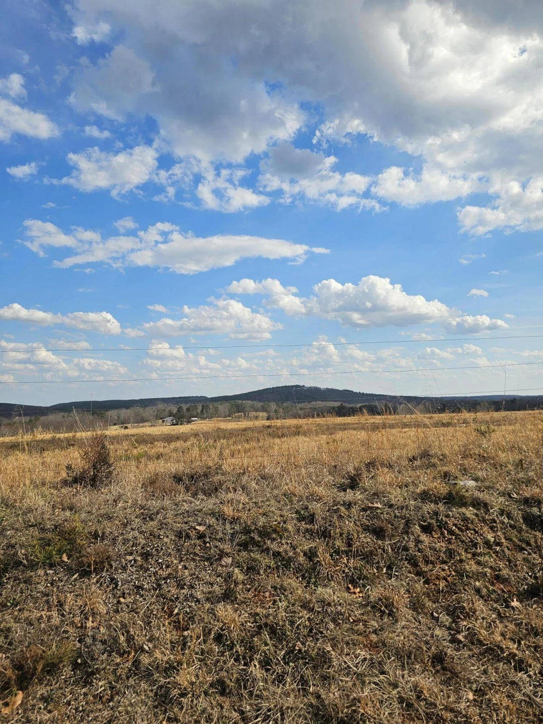 Lot 10/12 Easome RD - Photo 5