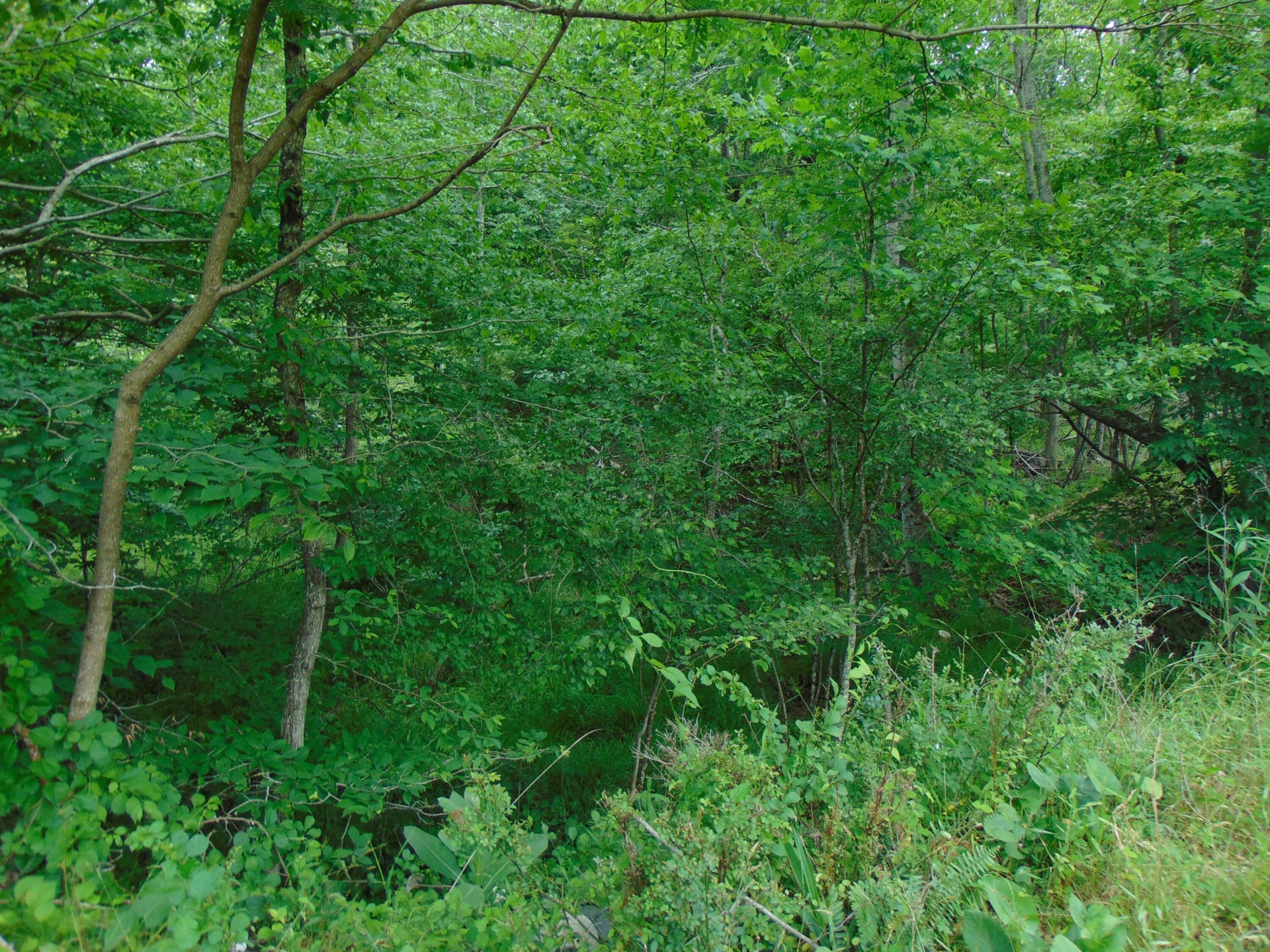 5380 Laurel Fork RD - Photo 74