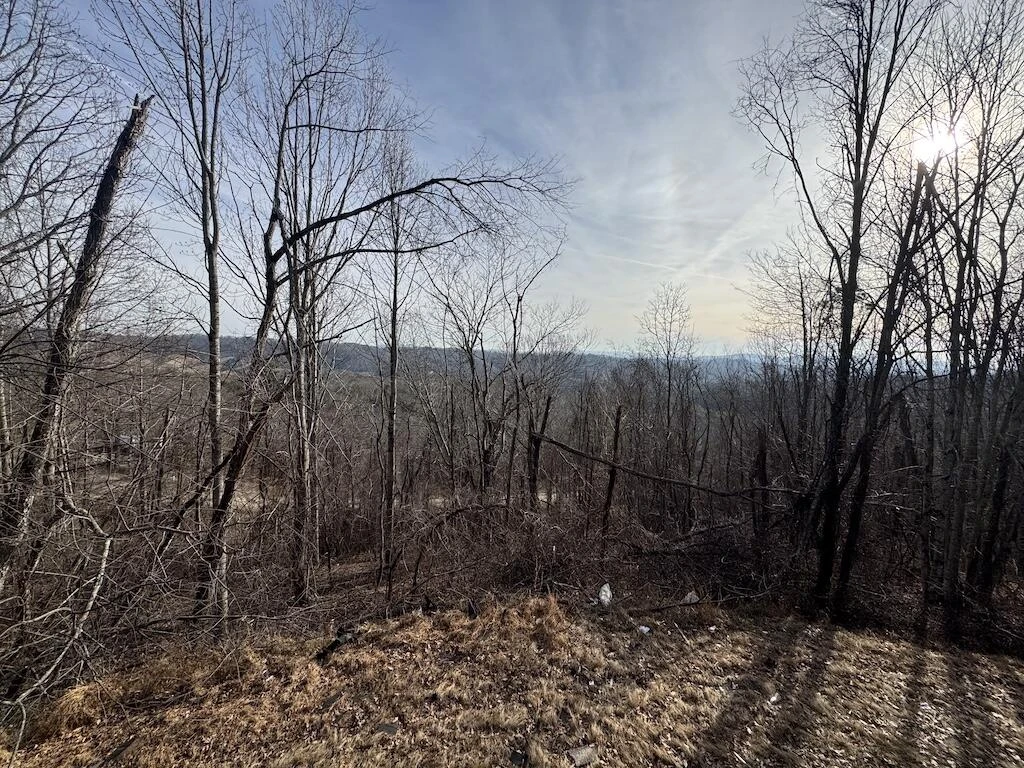 1212 Eagle View DR - Photo 40