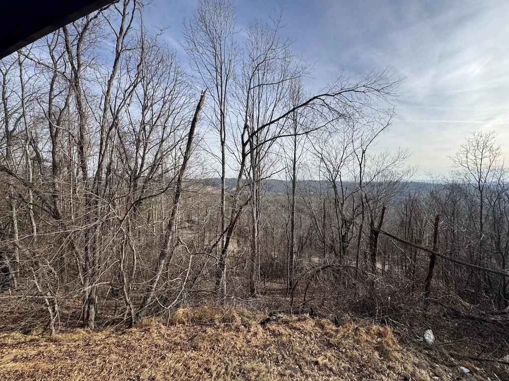 1212 Eagle View DR - Photo 41