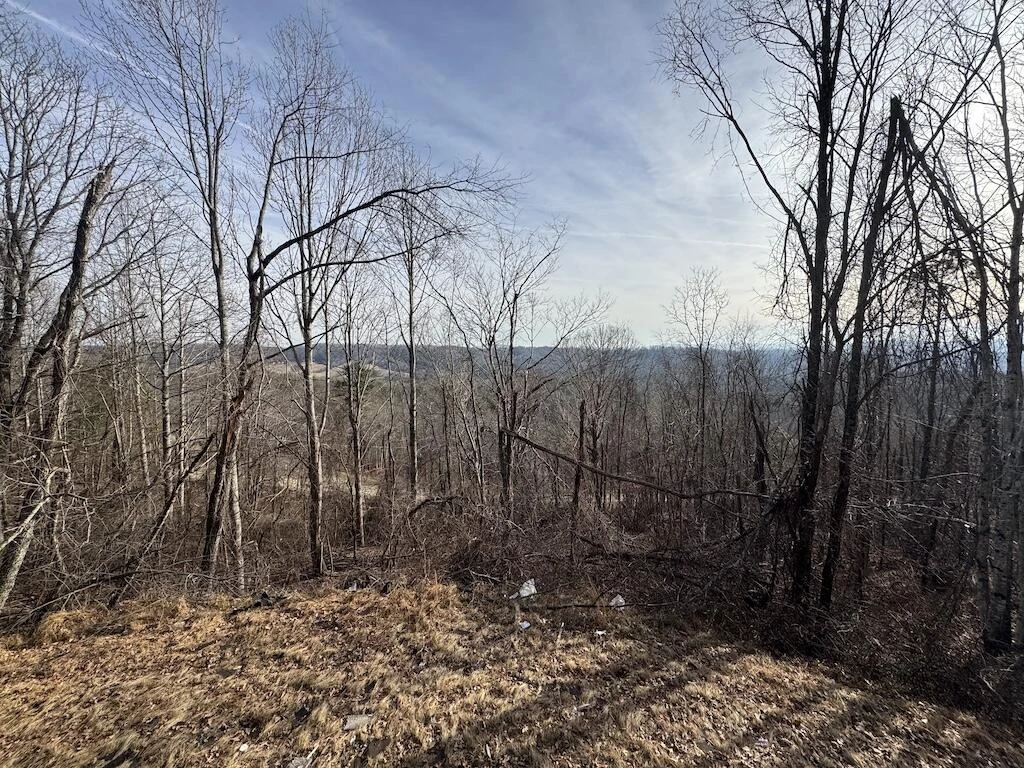 1212 Eagle View DR - Photo 42