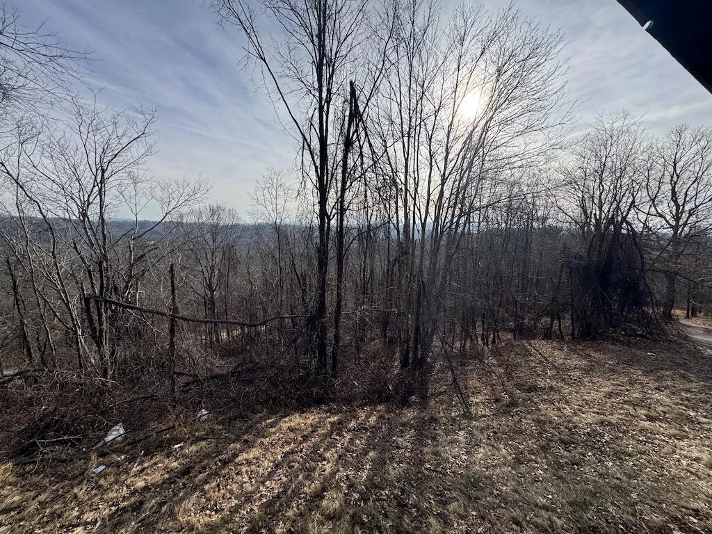 1212 Eagle View DR - Photo 43