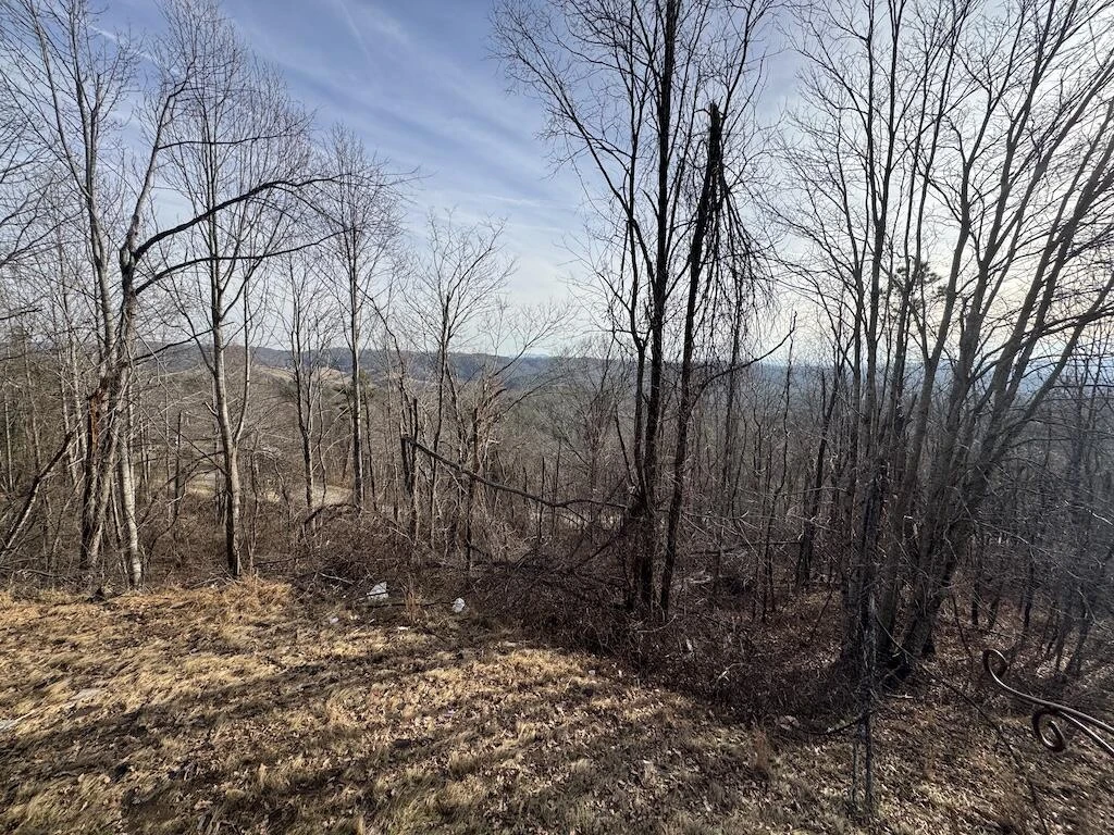1212 Eagle View DR - Photo 45
