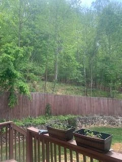 2540 Blue Ridge Springs RD - Photo 35