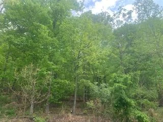 2540 Blue Ridge Springs RD - Photo 36