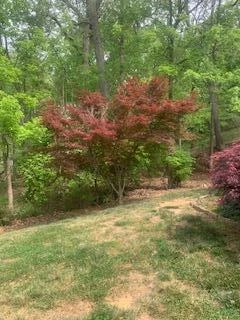 2540 Blue Ridge Springs RD - Photo 37