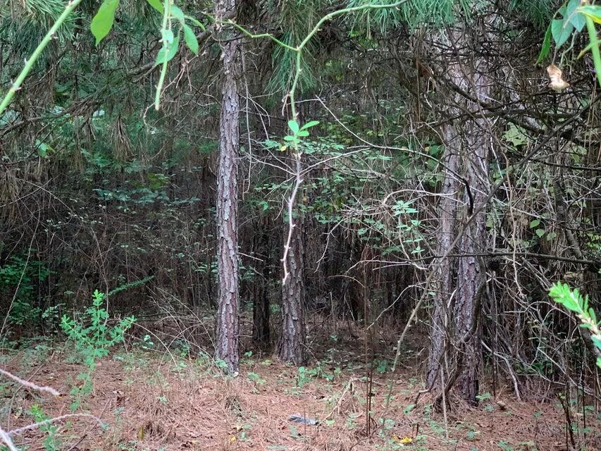 Lot 284 Waterway CT - Photo 13