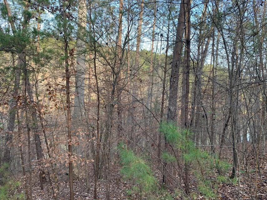 Lot 284 Waterway CT - Photo 14